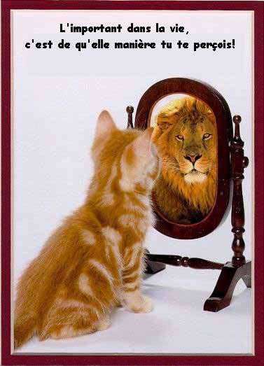 **PENSE  UN POSITIF**